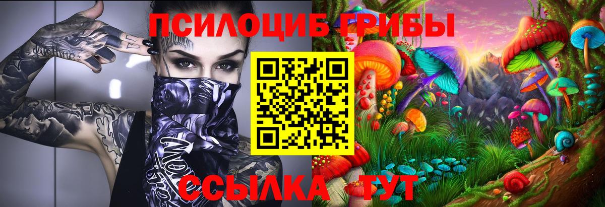 Галлюциногенные грибы мухоморы  Псилоцибиновые грибы GOLDEN TEACHER  Вход с VPN  Железноводск 