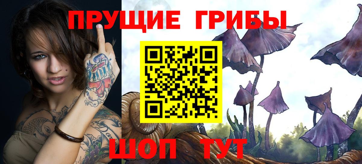 Псилоцибиновые грибы Psilocybe Железноводск